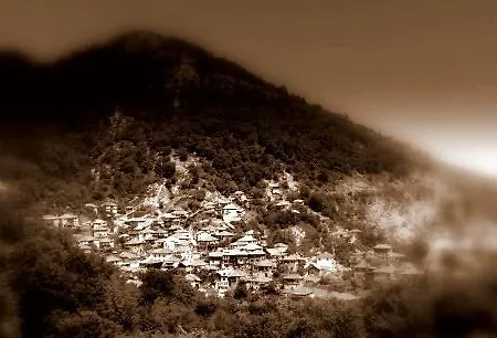 шапкова къща ゲストハウス Delchevo